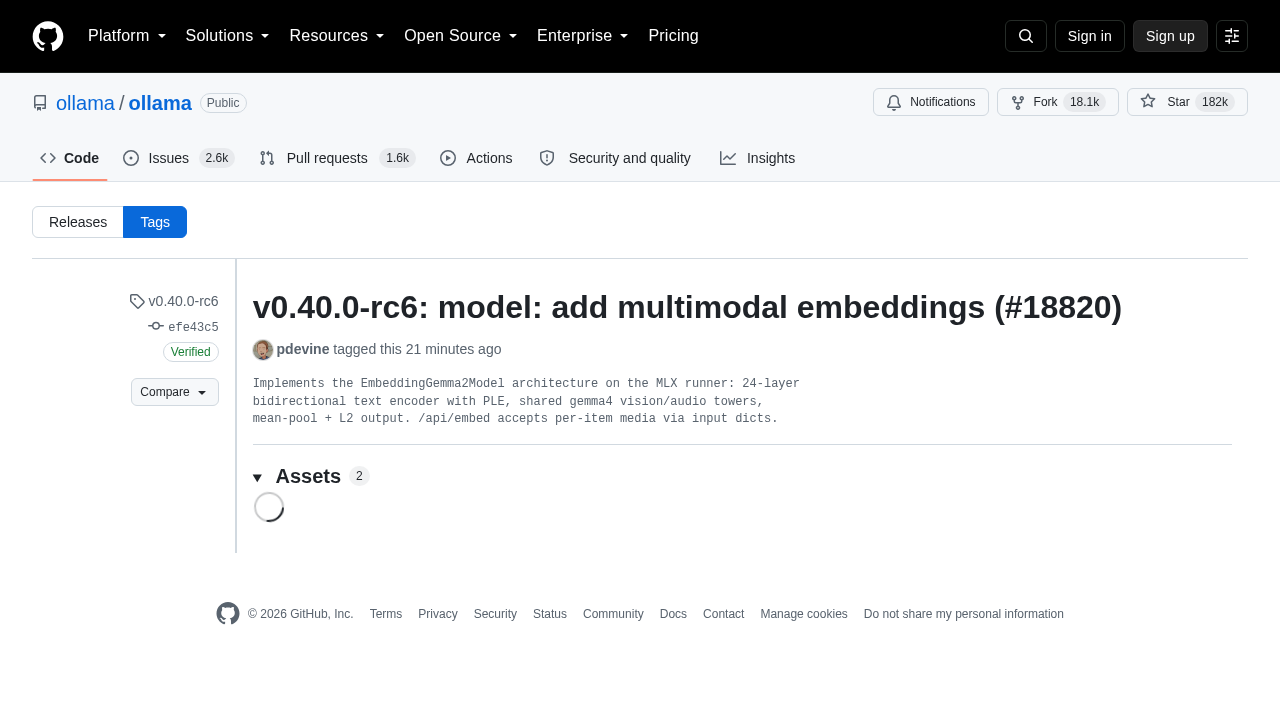 v0.40.0-rc6: model: add multimodal embeddings (#18820)