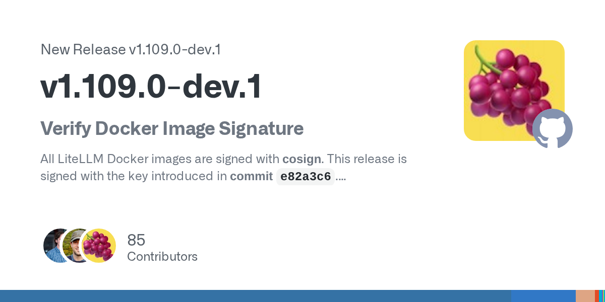 LiteLLM v1.109.0-dev.1