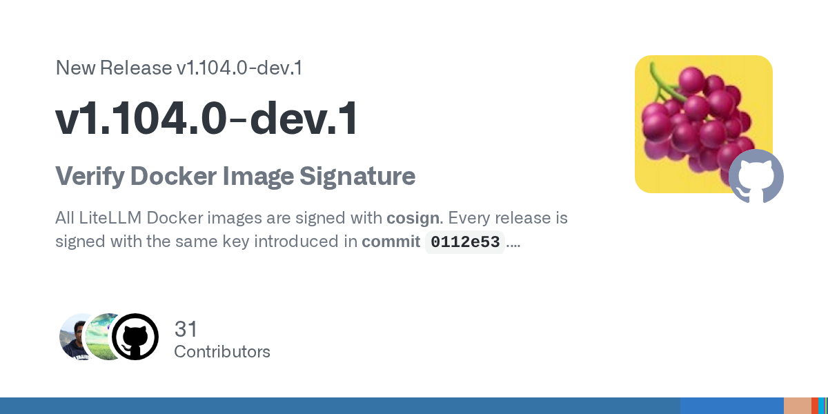 LiteLLM v1.104.0-dev.1