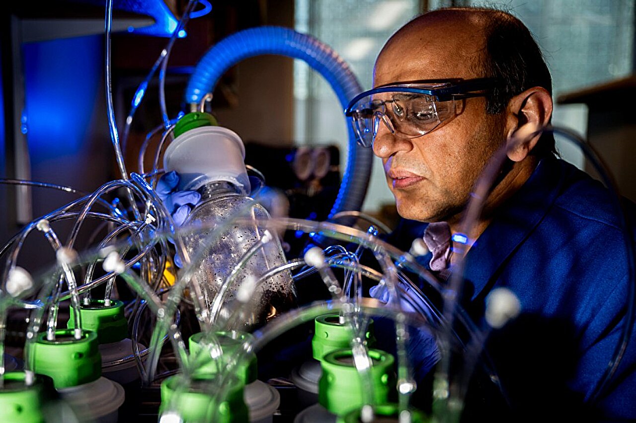 Biodegradable electronics can break down into harmful microplastics